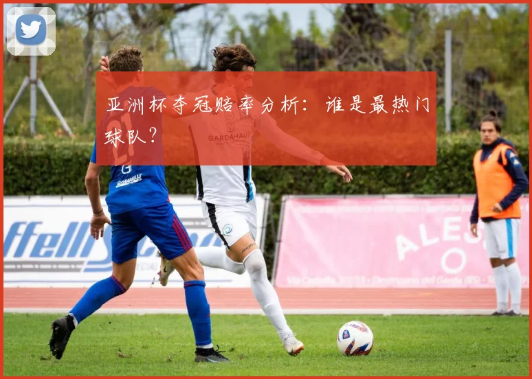 亚洲杯夺冠赔率分析：谁是最热门球队？